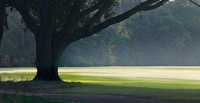 Copperdale GC