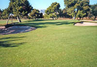 Glyfada GC