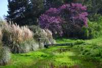 Corfu GC