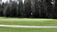 Lake Cushman GC: #8