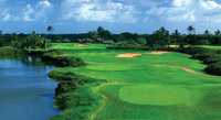 Hawaii Prince GC - C Nine: #1