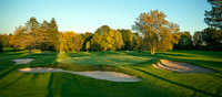 Winged Pheasant GL