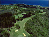 Kapalua Resort: Village
