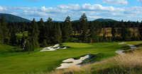 Circling Raven GC: #12