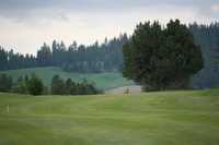 Fairways at West Terrace