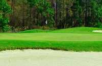 Magnolia Plantation GC