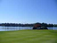 Tapps Island GC: #2