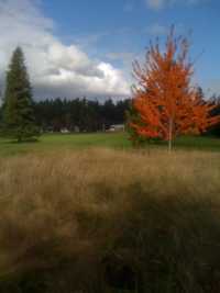 Brookdale GC