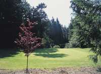 Championship at Meadow Park GC: #13