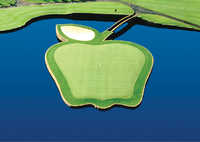 Apple Tree GC: #17