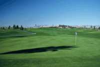 Palm at Angel Park GC: #3