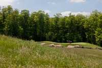 Club at Bond Head