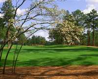 Pinehurst's No. 8