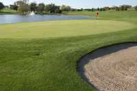 Tiburon GC