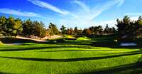 Deser Pines - #1