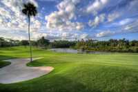 Palm Harbor Golf Club: #1