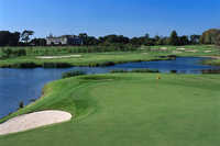 PGA National Ireland at Palmerstown House Golf Club: #8