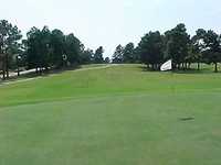 Orgill Park GC: #3