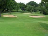 Lakewood CC: #12
