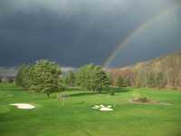 Lynx at River Bend GC