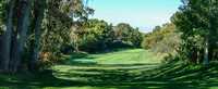 Davis Park GC