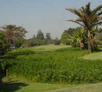 Maidstone GC