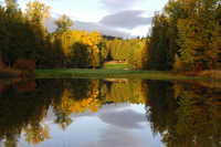 Idaho Club