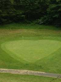 Olalla Valley GC: #8