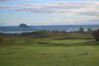 Muriwai GC: #8