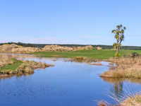 Southland GC: #17