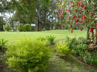Eden Gardens CC: #7