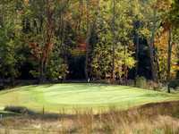Williams Creek GC: #9