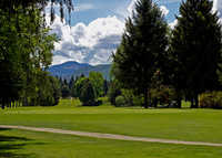 Birchbank GC:#8