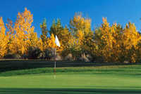 Carson Valley GC - Green in the fall