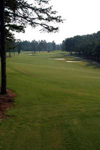 Forest Oaks CC: #1