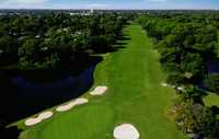 St. Petersburg CC: #6