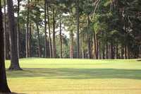 Stumpy Lake GC