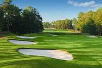 Wild Wing Plantation - Hummingbird: #7