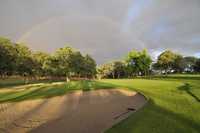 Wilcox Oaks GC