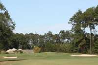Otter at River Oaks Golf Plantation: #6