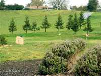 Washoe Creek GC - Executive: #1