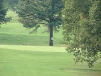 Grayson Valley CC: #3