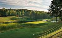 Robert Trent Jones Golf Trail at Ross Bridge: #14