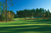 Pinehurst RCC - No. 7: #7