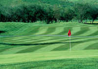 Wood Ranch GC: #11