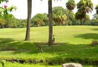 Turtle Creek GC