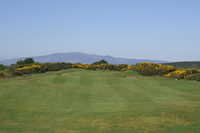 Powfoot GC