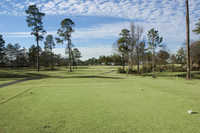 Hawk's Point GC: #15