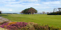 Helen's Bay GC: #8 & #17