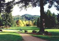 Elkhorn Valley: #1